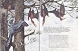 Book A Pterodactyl: The Story of a Flying Reptile free