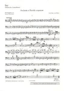 Book SCHOTT WEBER CARL MARIA VON - ANDANTE AND RONDO UNGARESE - VIOLA AND ORCHESTRA Partition classique Cordes Alto free