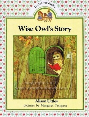 Book Wise Owls Story Large Format free