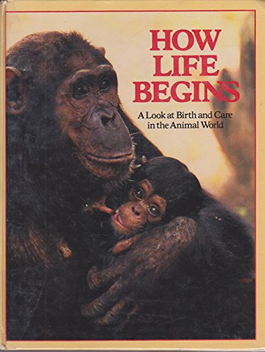 Book How Life Begins free