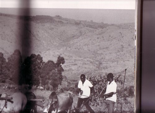 Book The Book of Kenya free