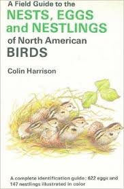 Book A Field Guide to the Nests, Eggs and Nestlings of North American Birds (Collins Pocket Guide) free