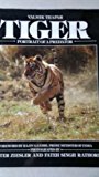 Book Tiger: Portrait of a Predator free