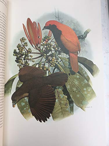 Book Birds of Paradise and Bower Birds free