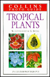 Book Collins Guide to Tropical Plants: A Descriptive Guide to 323 Ornamental and Economic Plants With 274 Colour Photographs (Collins Pocket Guide) (English and German Edition) free