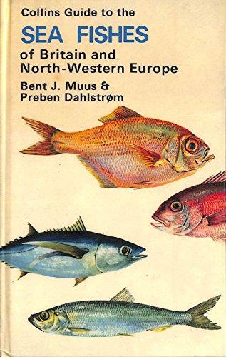 Book Collins Guide to the Sea Fishes of Britain and Northwestern Europe free