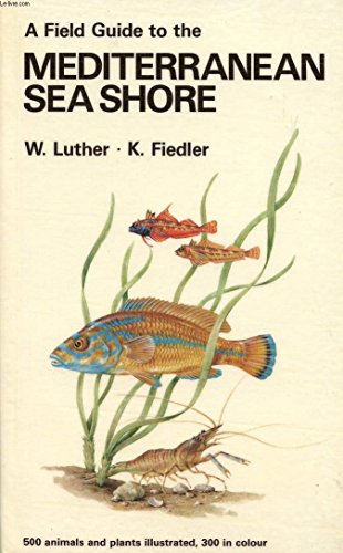 Book Field Guide to the Mediterranean Sea Shore free