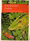 Book A Natural History of Britain's Ferns (New Naturalist Series) free