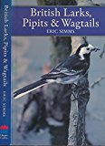 Book Larks, Pipits and Wagtails (New Naturalist Series) (Collins New Naturalist) free