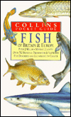 Book Fish of Britain & Europe (Collins Pocket Guide) free