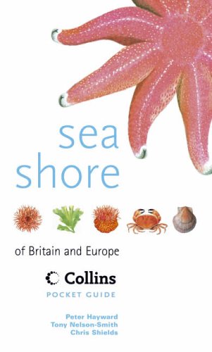 Book Sea Shore of Britain and Europe (Collins Pocket Guide) free Book Sea Shore of Britain and Europe (Collins Pocket Guide) free
