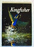 Book Kingfisher/Unique Action Photographs of Our Most Exotic and Elusive Bird free