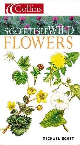 Book Scottish Wild Flowers (Collins Guide) free