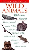 Book WILD ANIMALS (COLLINS WILD GUIDE S.) free
