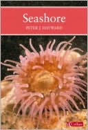 Book A Natural History Of The Seashore (Collins New Naturalist) free