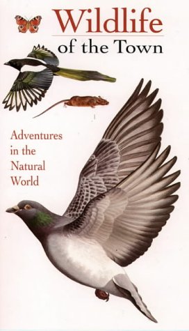Book Wildlife of the Town (Collins Watch Guide) free