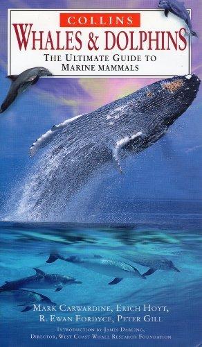 Book Whales and Dolphins : Ultimate Guide to Marine Mammals (Nature Company Guides) free