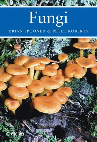 Book Fungi (Collins New Naturalist) free