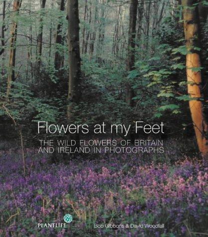 Book Flowers at My Feet: The Wild Flowers of Britain and Ireland in Photographs free