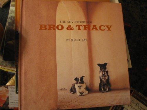 Book The Adventures of Bro and Tracy free