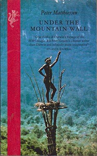 Book Under the Mountain Wall free