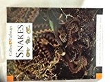 Book Collins Pathways Stage 5 Set B: Snakes (Collins Pathways) free