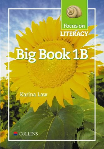 Book Focus On Literacy: Big Book 1b free