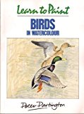 Book Learn to Paint Birds in Watercolour (Collins Learn to Paint) free