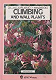 Book Climbing and Wall Plants (Collins Aura Garden Handbooks) free