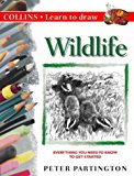 Book Learn to Draw Wildlife (Learn to Draw) free