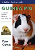 Book Guinea Pig free