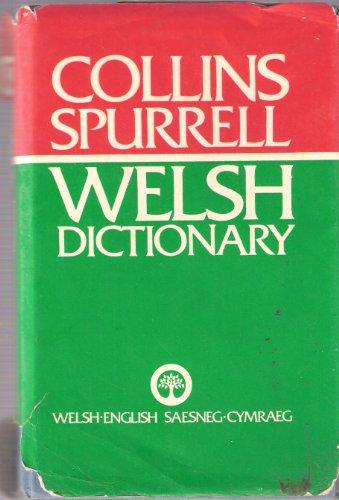 Book Welsh Dictionary: Welsh-English/English-Welsh free