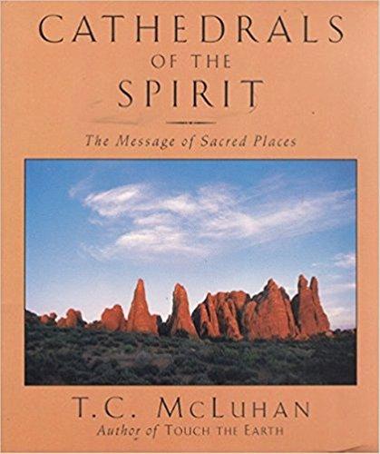 Book Cathedrals of the Spirit: The Message of Sacred Places free