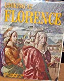 Book Looking at Florence free