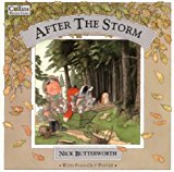 Book After the Storm free
