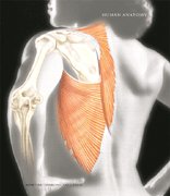 Book Human Anatomy- Text Only free