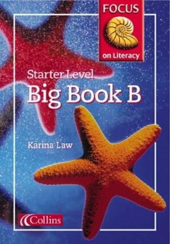 Book Focus on Literacy: Big Book Reception year B (Focus on Literacy) free