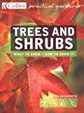 Book Trees and Shrubs : The Essential and Definitive Guide (Collins Practical Gardener) free