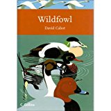 Book Wildfowl of Britain and Ireland (Collins New Naturalist) free