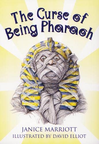 Book Skyracer Green – The Curse of Being Pharoah: Action-packed guided reading for year 6. free