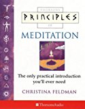 Book Meditation: The Only Introduction You'll Ever Need (Principles of) free