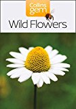 Book Collins Gem Wild Flowers: A Concise Guide to Britain's Most Popular Species free
