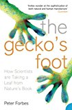 Book The Gecko’s Foot: How Scientists are Taking a Leaf from Nature's Book free