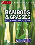 Book Bamboos and Grasses (Collins Practical Gardener) free