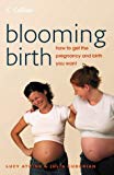 Book Blooming Birth : How to Get the Pregnancy and Birth You Want free
