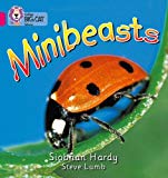 Book Minibeasts (Collins Big Cat) free