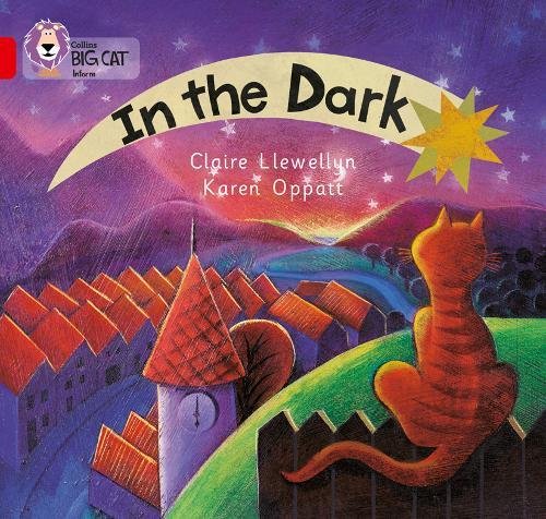 Book In the Dark (Collins Big Cat) free