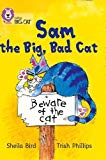 Book Sam and the Big Bad Cat (Collins Big Cat) free