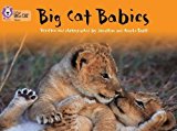 Book Big Cat Babies (Collins Big Cat) free