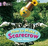 Book How To Make a Scarecrow (Collins Big Cat) free